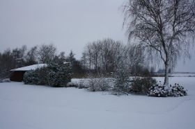 IMG_0812.JPG