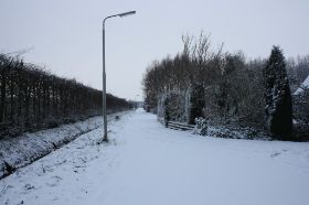 IMG_0831.JPG