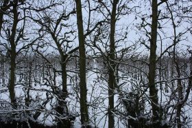 IMG_0836.JPG