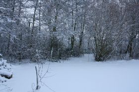 IMG_0860.JPG